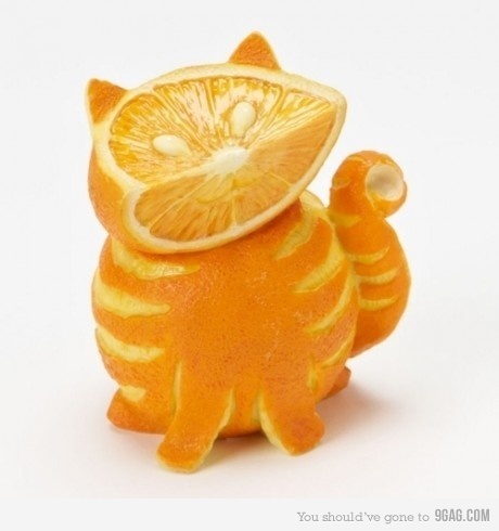 Gatinho de laranja incentiva as crianças a consumirem frutas (Foto: Reprodução)